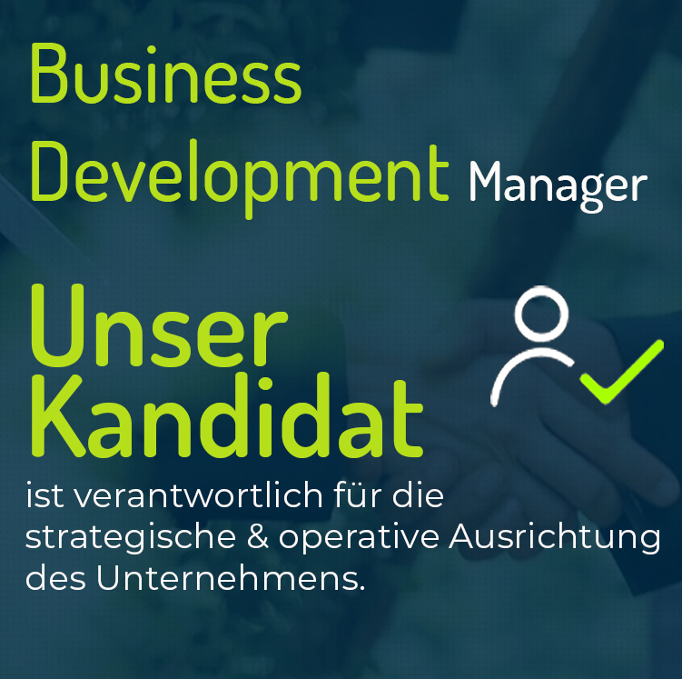 Business management development jobs consulting